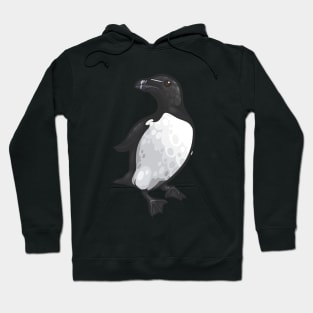 Razorbill Hoodie